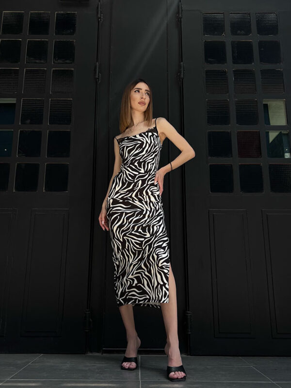 zebra forema1