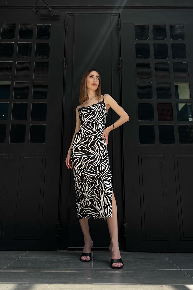 zebra forema1